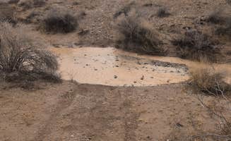 Rick M.'s photo of camping with pets at La Posa South BLM Long Term Visitor Area (LTVA) near Wenden, AZ