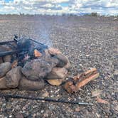 Review photo of La Posa South BLM Long Term Visitor Area (LTVA) by James P., February 14, 2024