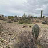 Review photo of La Posa South BLM Long Term Visitor Area (LTVA) by James P., February 14, 2024