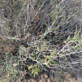 Review photo of La Posa South BLM Long Term Visitor Area (LTVA) by Rick M., April 13, 2025