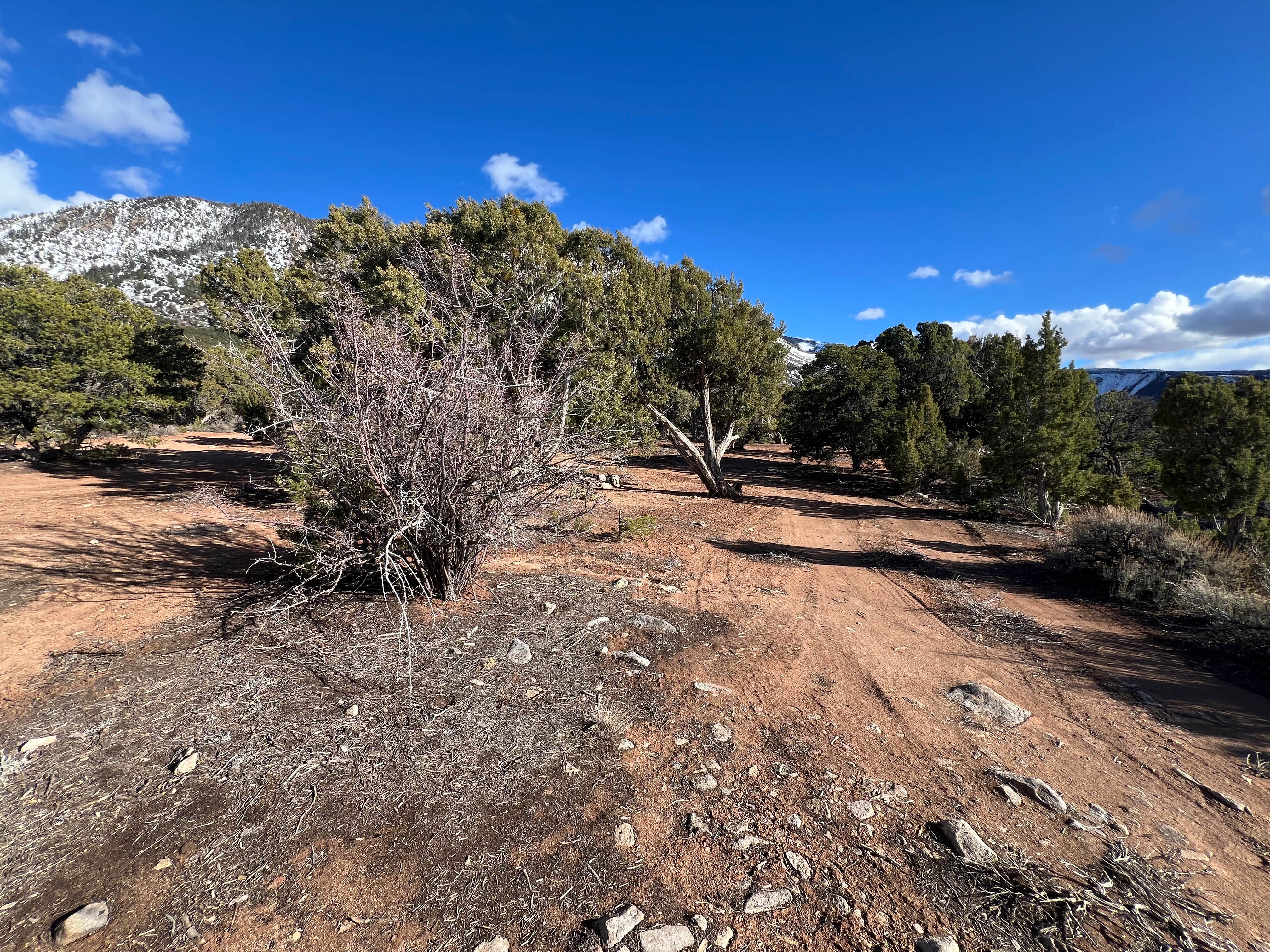 Camper submitted image from La Sal Loop East - 2