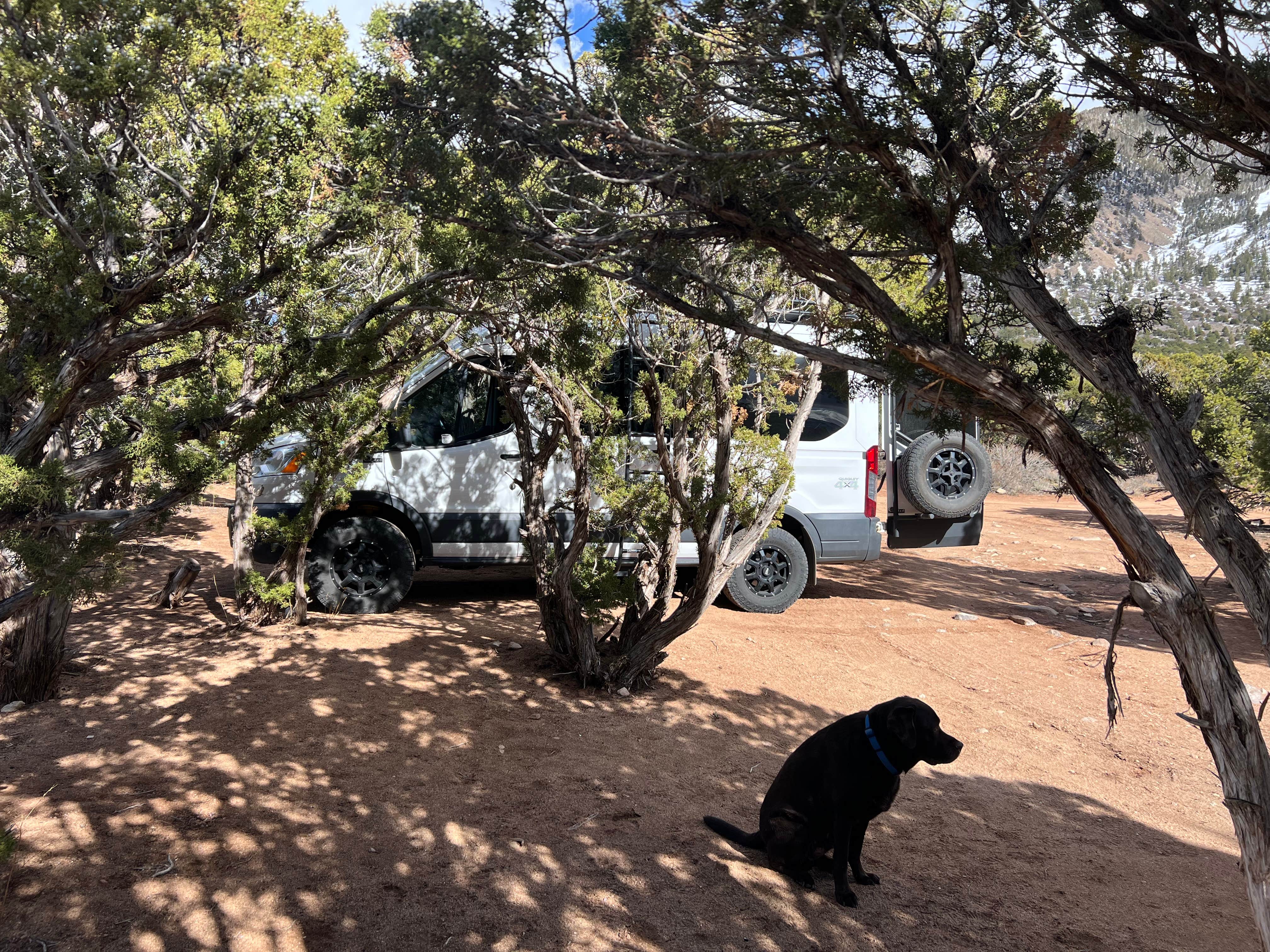 Camping near Fisher Towers Campground: La Sal Loop East, Castle Valley, Utah