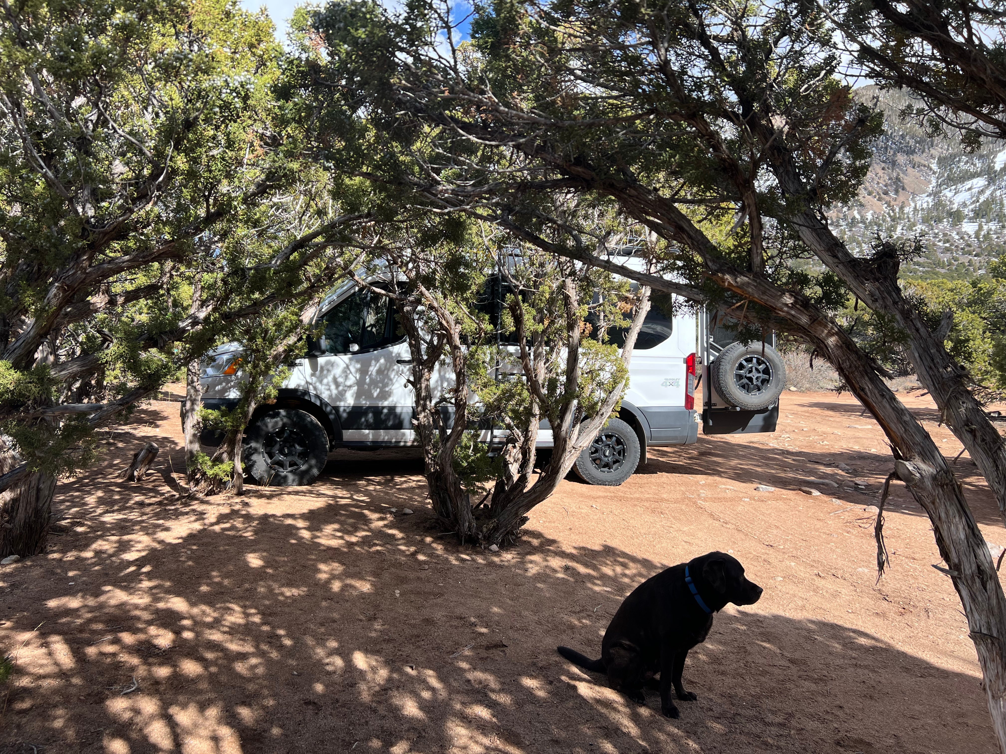Camper submitted image from La Sal Loop East - 1