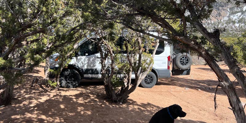 Camper submitted image from La Sal Loop East