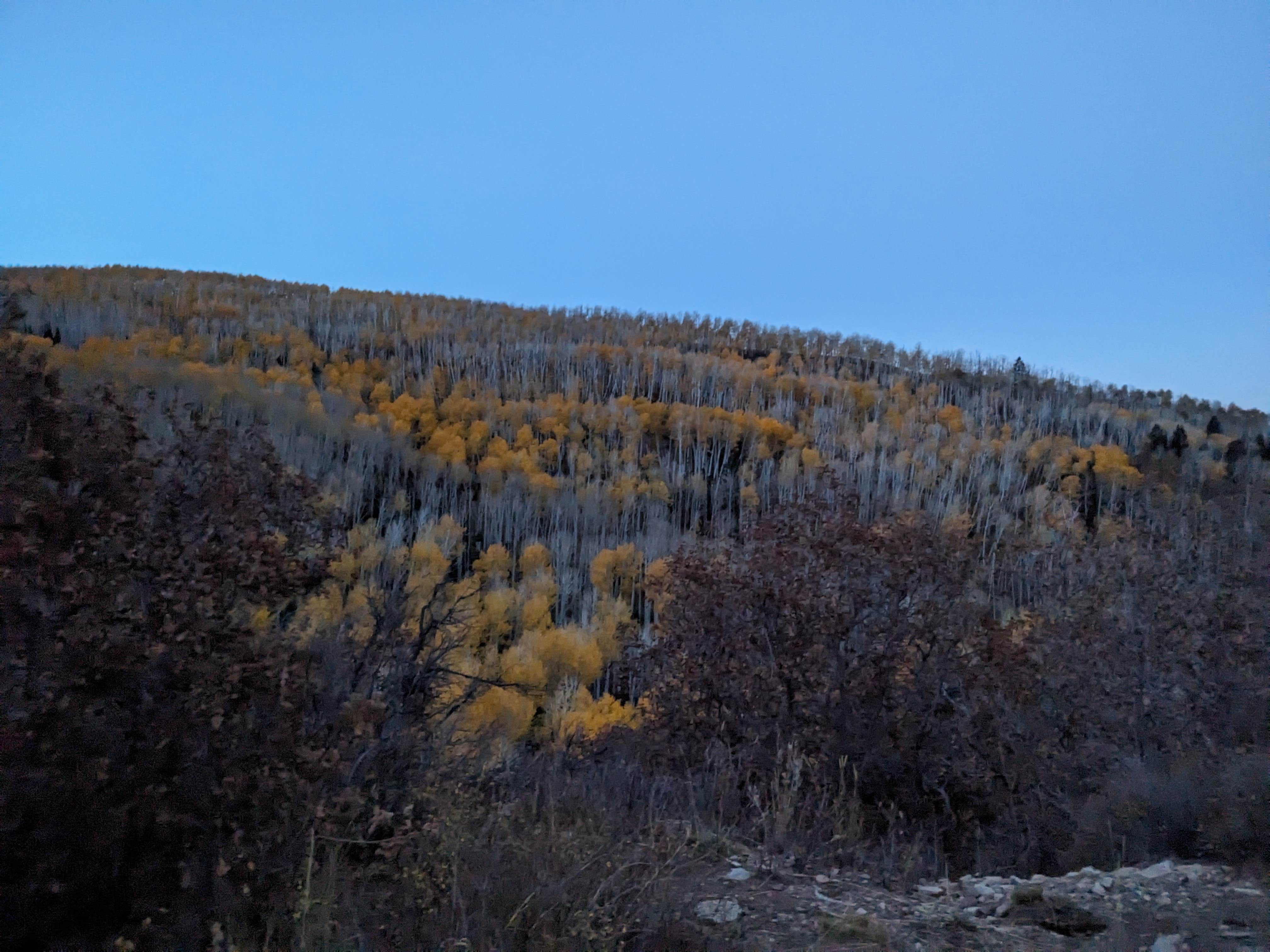 Camper-submitted photo at La Sal Loop Rd Dispersed near La Sal, UT