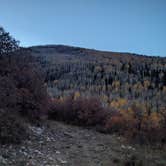 Review photo of La Sal Loop Rd Dispersed by Tyler R., November 19, 2023