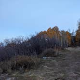 Review photo of La Sal Loop Rd Dispersed by Tyler R., November 19, 2023