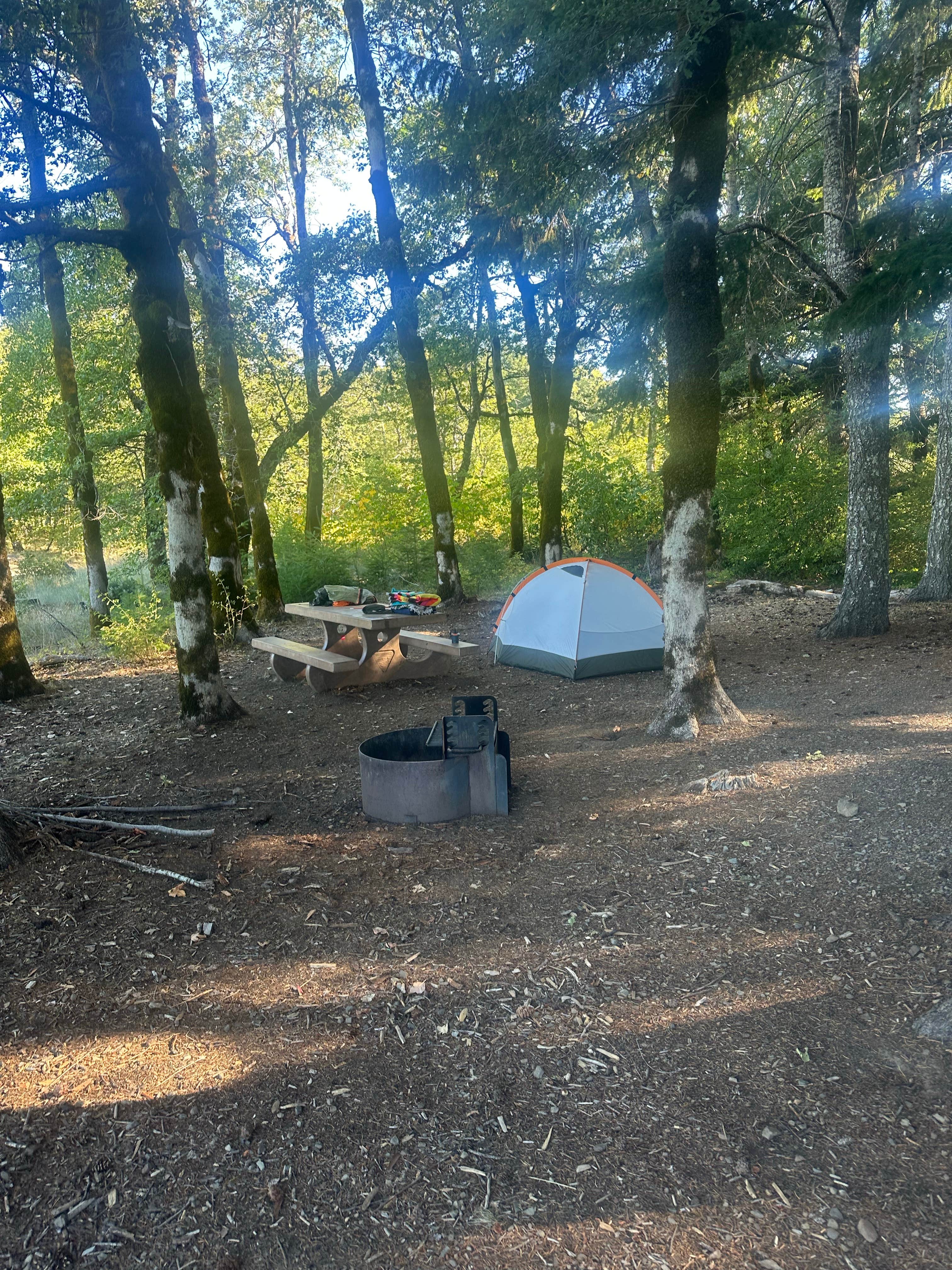 Camper-submitted photo at Lacks Creek BLM near Blue Lake, CA