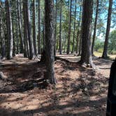 Review photo of Lacks Creek BLM by richard B., August 13, 2025