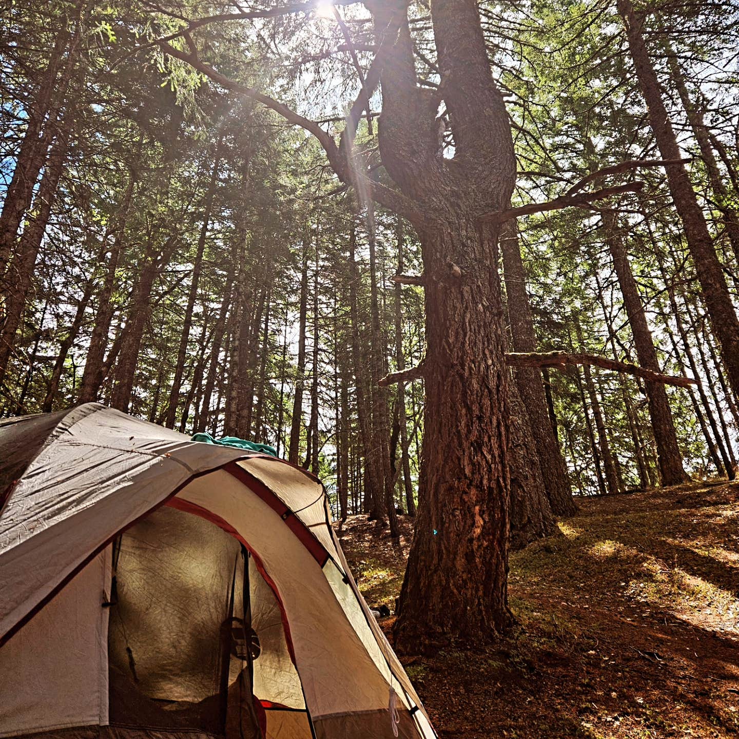 Camper submitted image from Lacks Creek BLM - 1