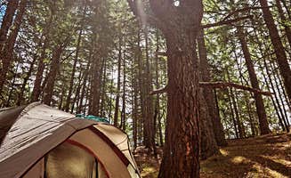 Kalah H.'s photo at Lacks Creek BLM near Six Rivers National Forest