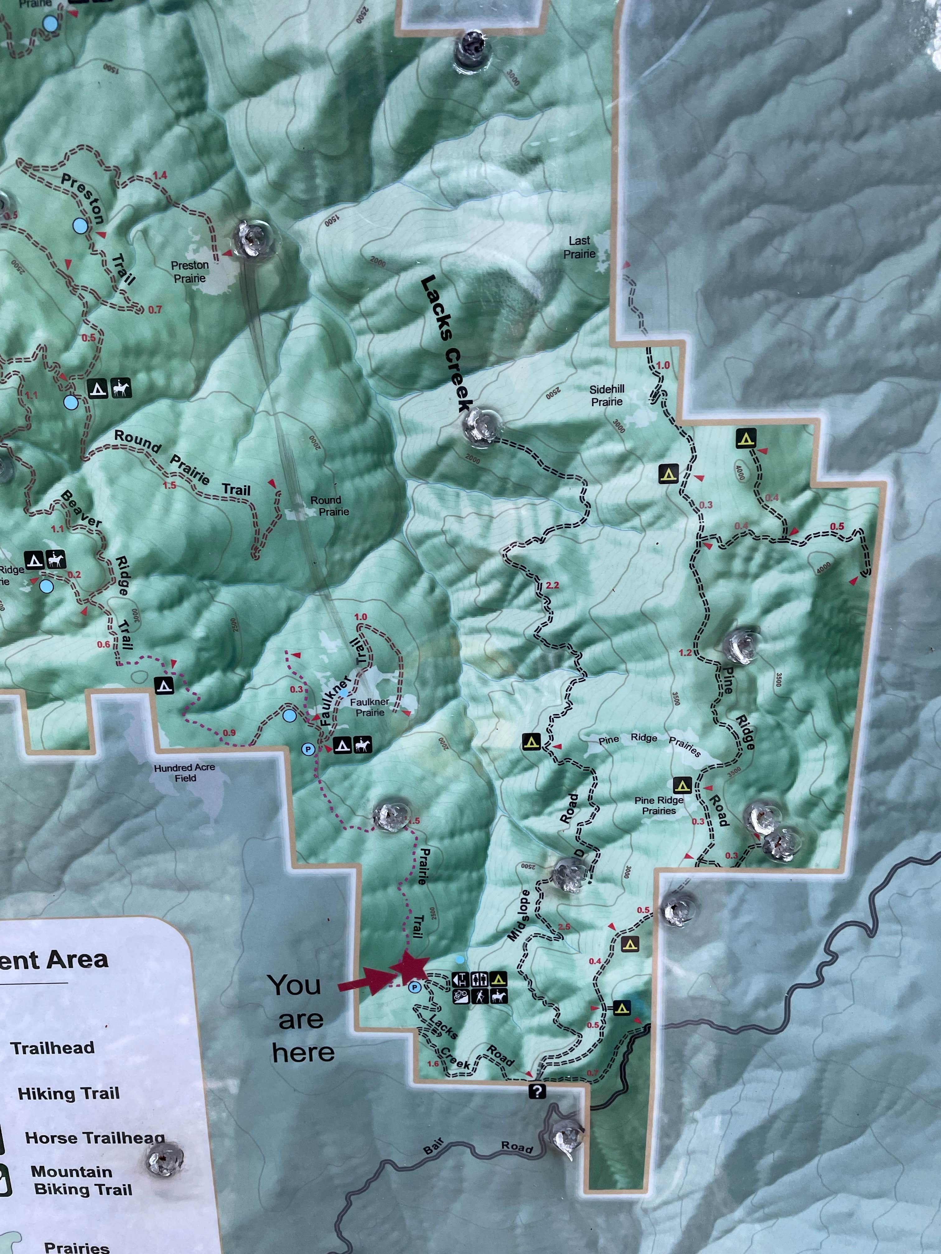 Sierra Nature Notes, image size:3024x4032