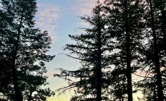 Marasha L.'s photo of camping with a horse at Lacks Creek BLM in California