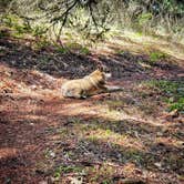 Review photo of Lacks Creek BLM by Kalah H., September 18, 2024