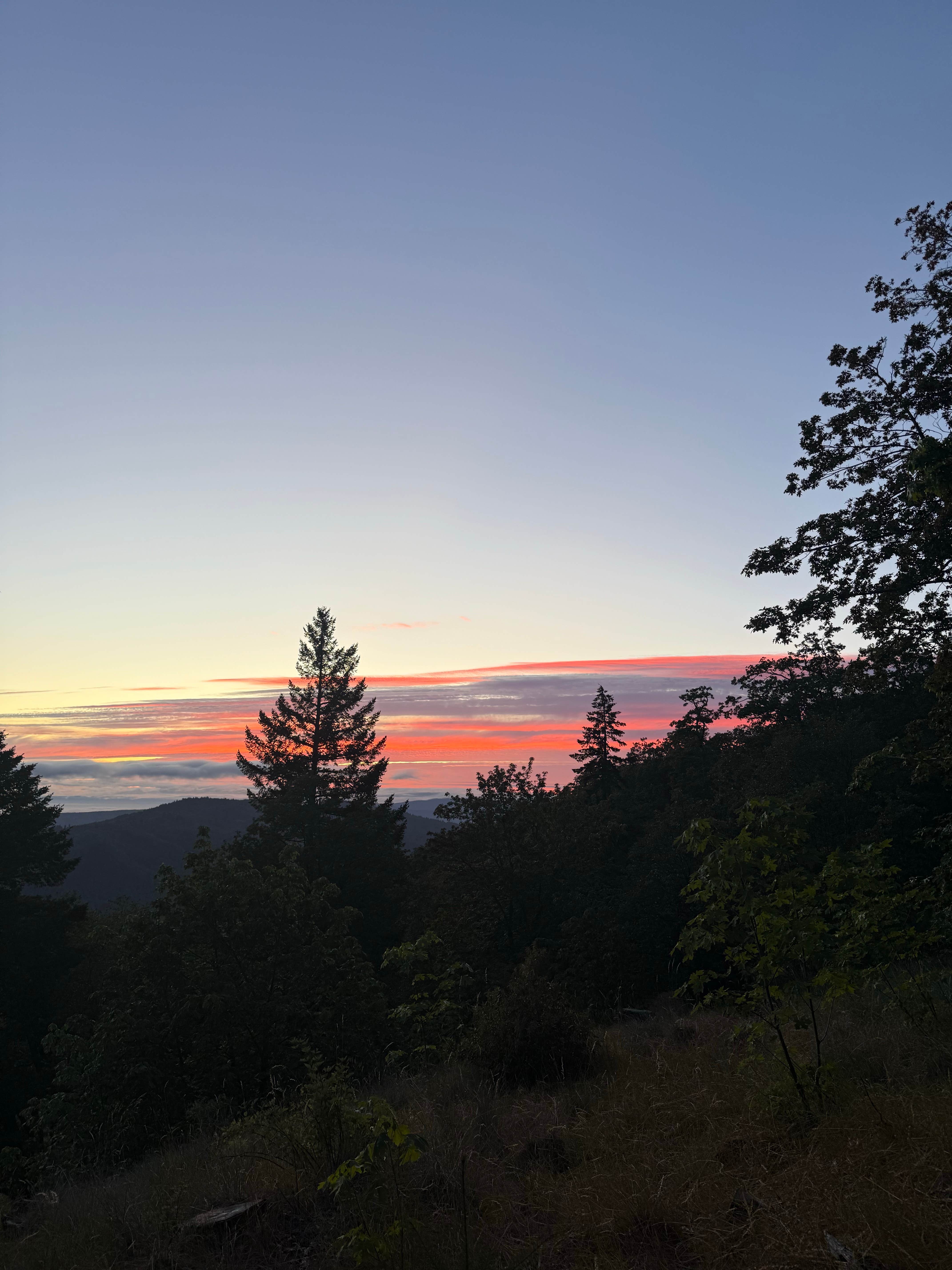 Nate T.'s photo of a dispersed camping area at Lacks Creek BLM near Somes Bar, CA