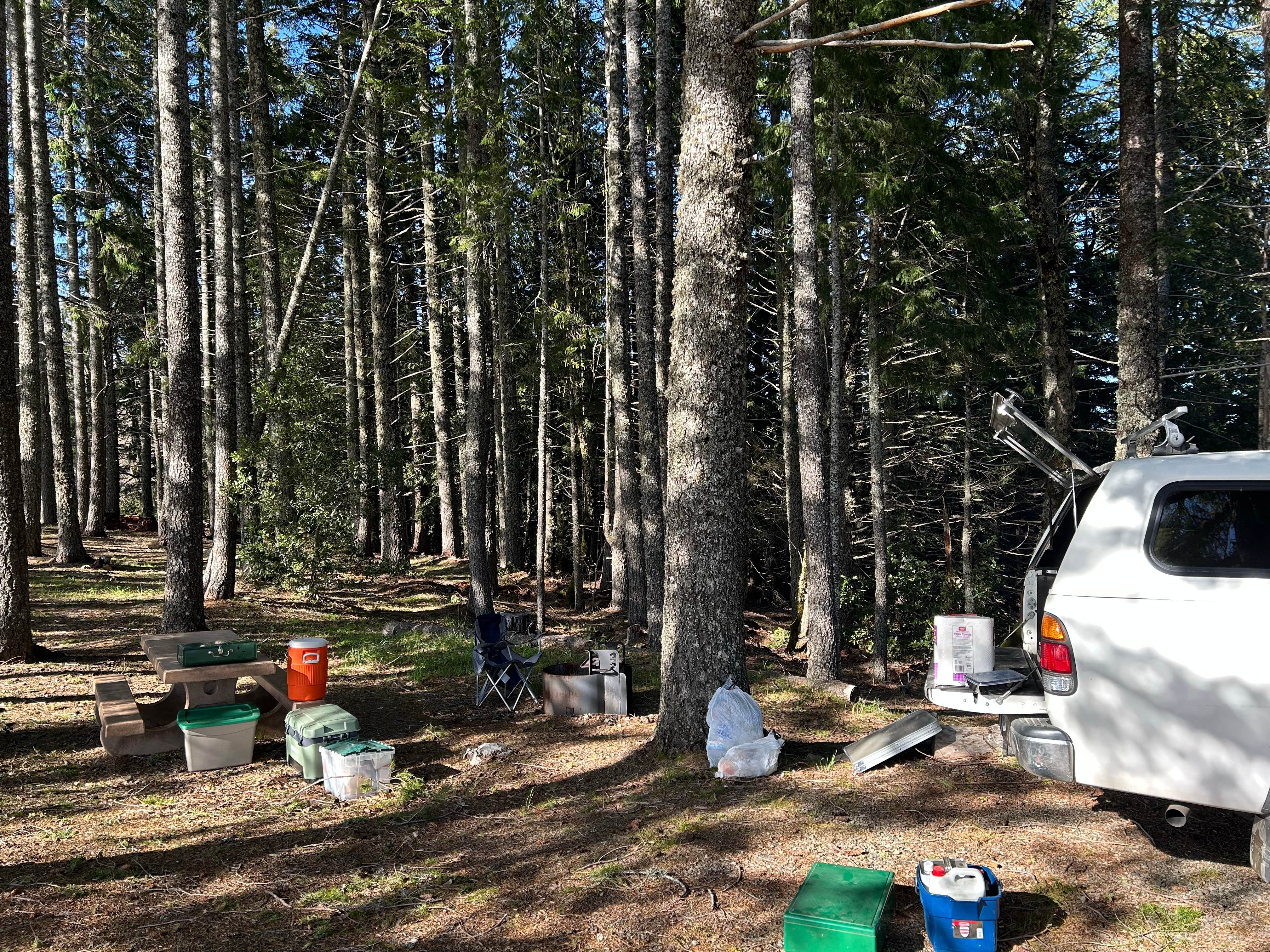 Camper submitted image from Lacks Creek BLM - 1