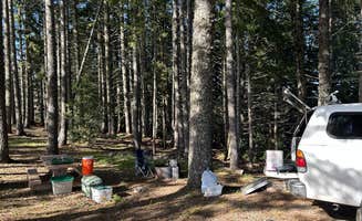 Derrick H.'s photo at Lacks Creek BLM near Six Rivers National Forest