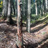 Review photo of Lacks Creek BLM by tim M., November 17, 2023