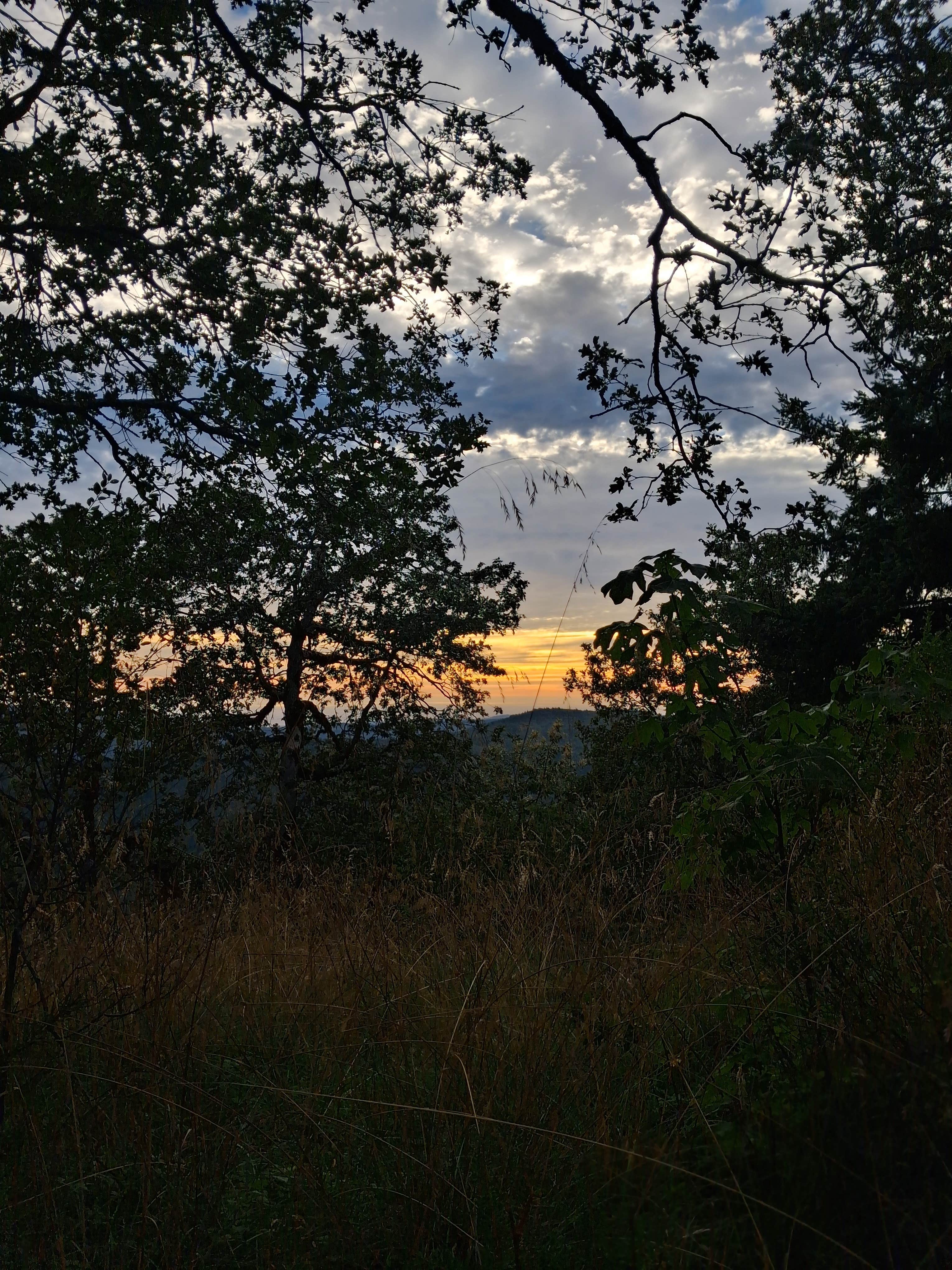 Camper-submitted photo at Lacks Creek BLM near Redcrest, CA