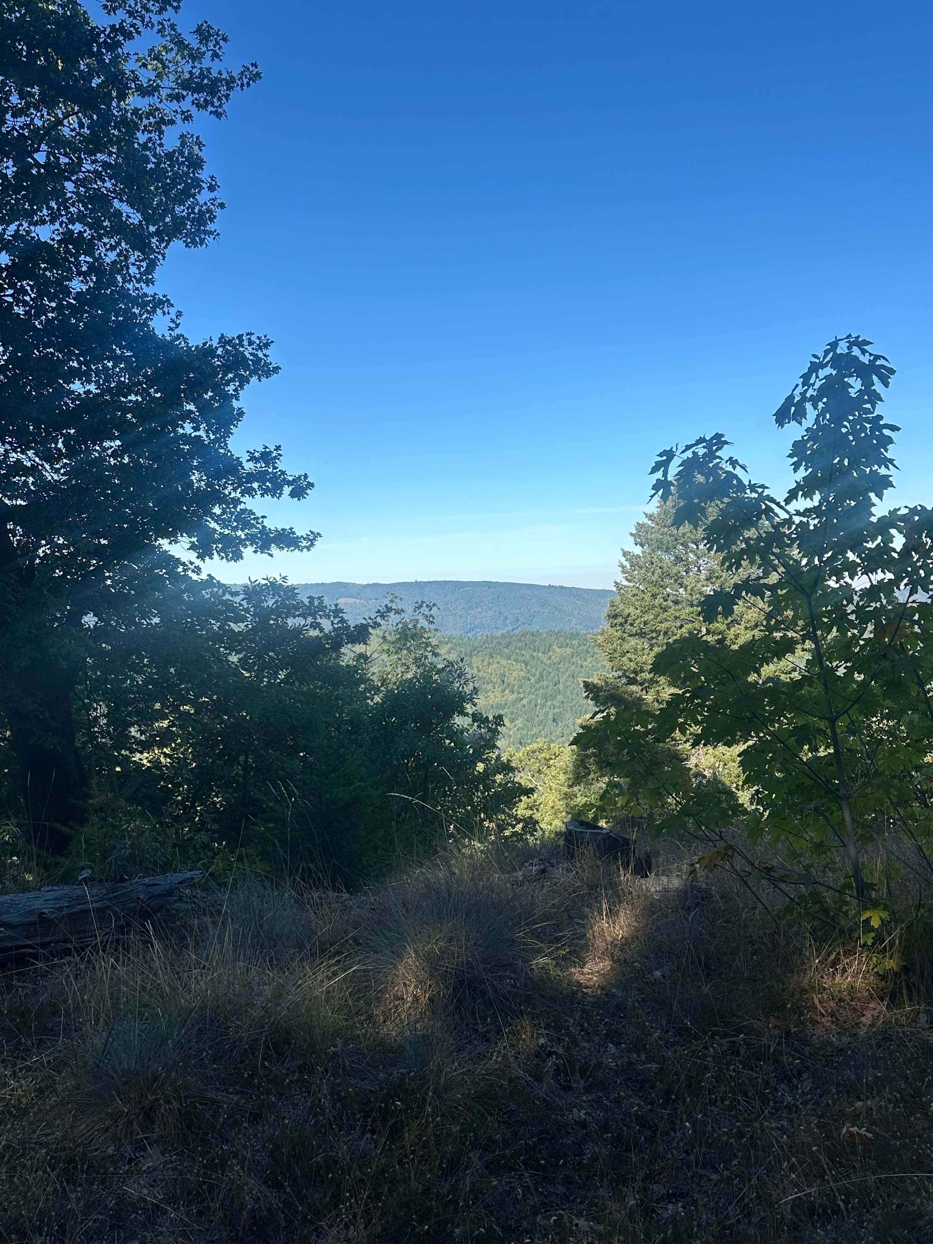 Camper-submitted photo at Lacks Creek BLM near Blue Lake, CA