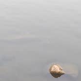 Review photo of Ladybird Landing by Andy M., September 8, 2026