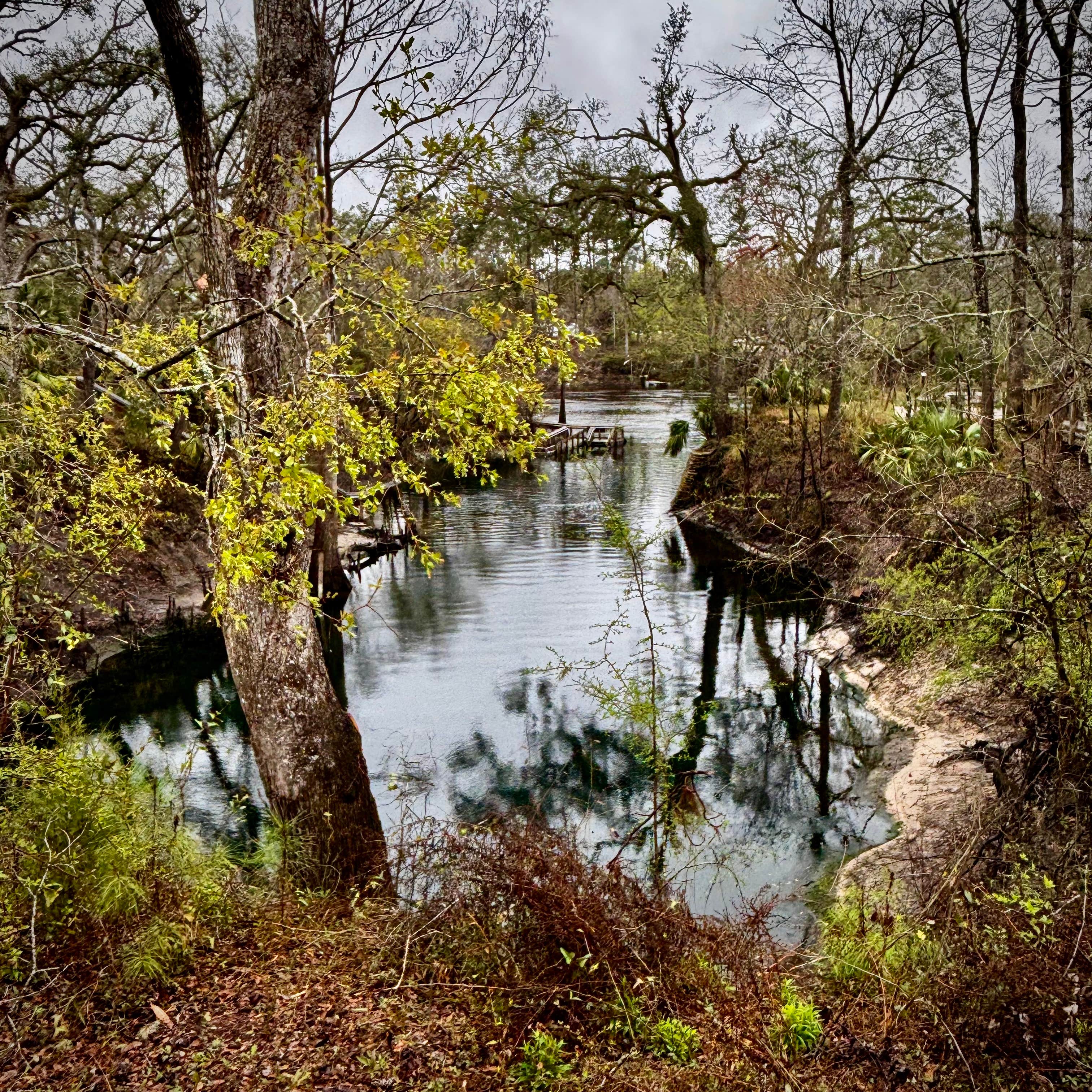 Camping near Winding Forest Rv Rentals and Campground: Lafayette Blue Springs State Park Campground, Mayo, Florida