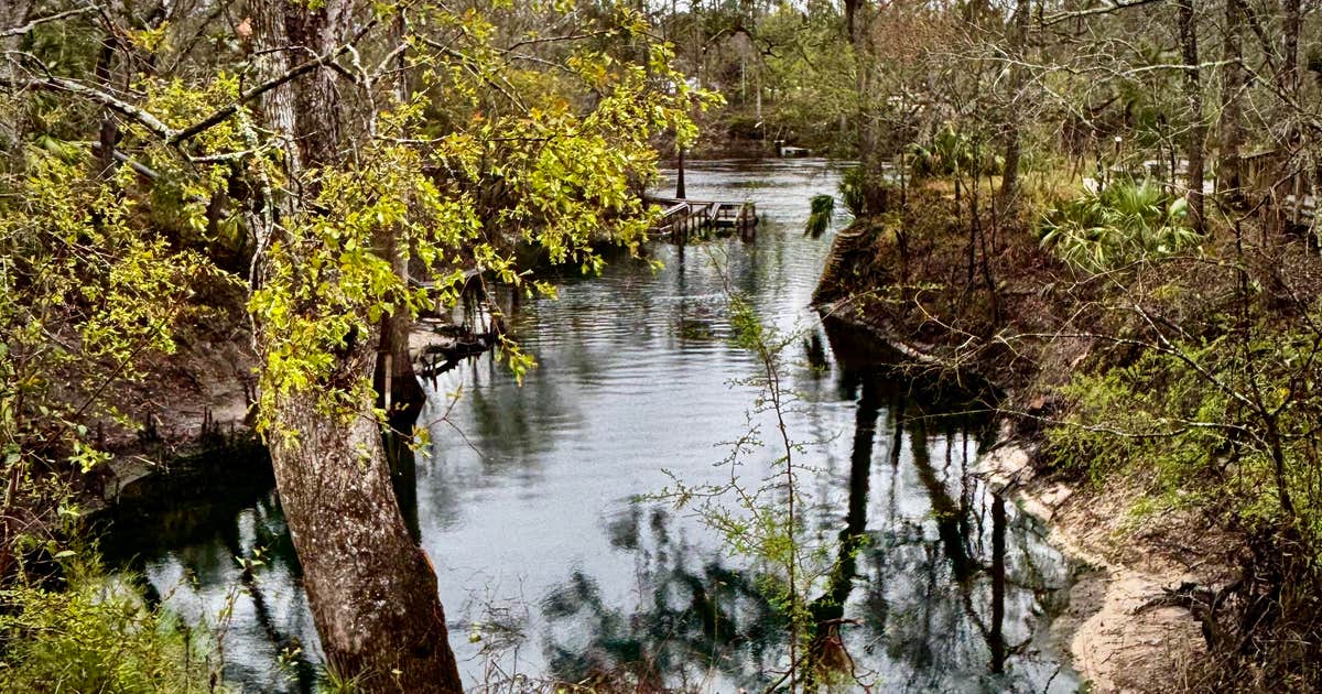 Lafayette Blue Springs State Park Campground