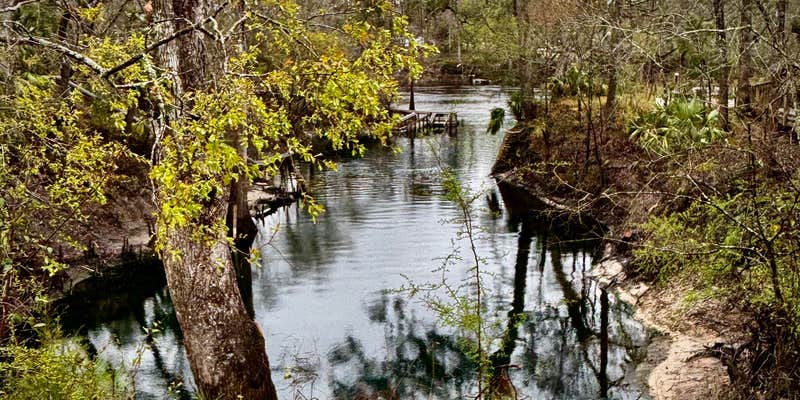 Camper submitted image from Lafayette Blue Springs State Park Campground