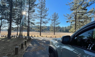 Camping near Paso Picacho Campground — Cuyamaca Rancho State Park: Laguna Campground, Mount Laguna, California