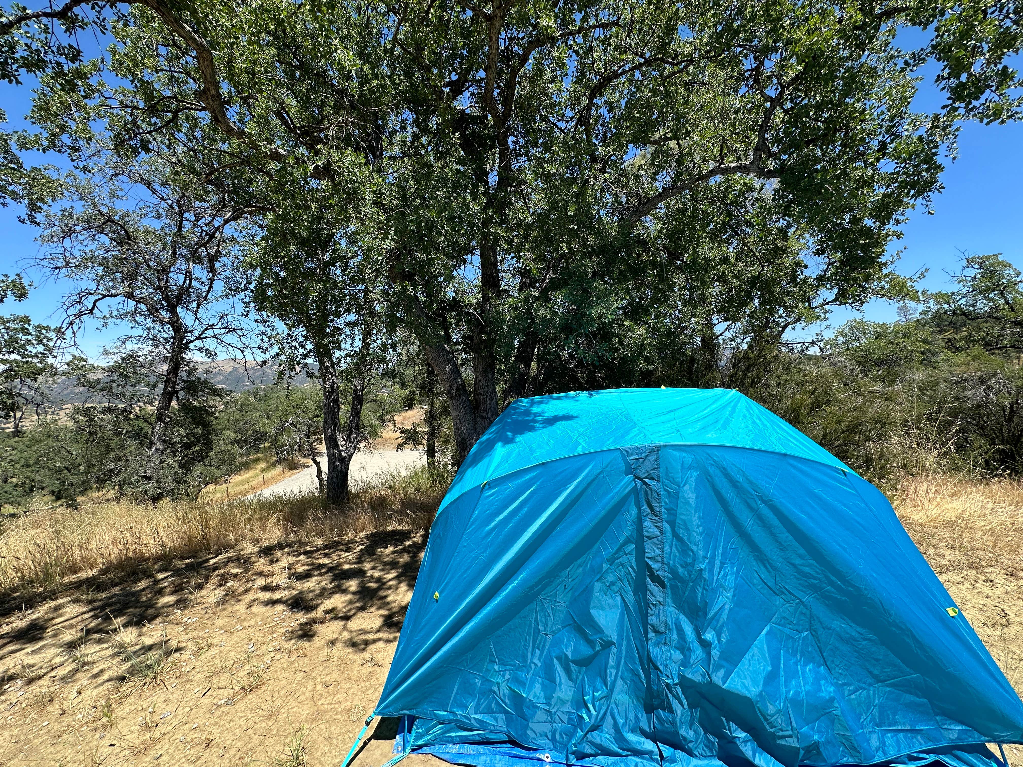 Hannah F.'s photo at Laguna Mountain Campground near Pinnacles National Park