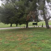 Review photo of El Prado Campground by Christy G., September 14, 2023