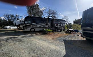 Dennis W.'s photo of rv camping at Lake Amador Resort near Stockton, CA