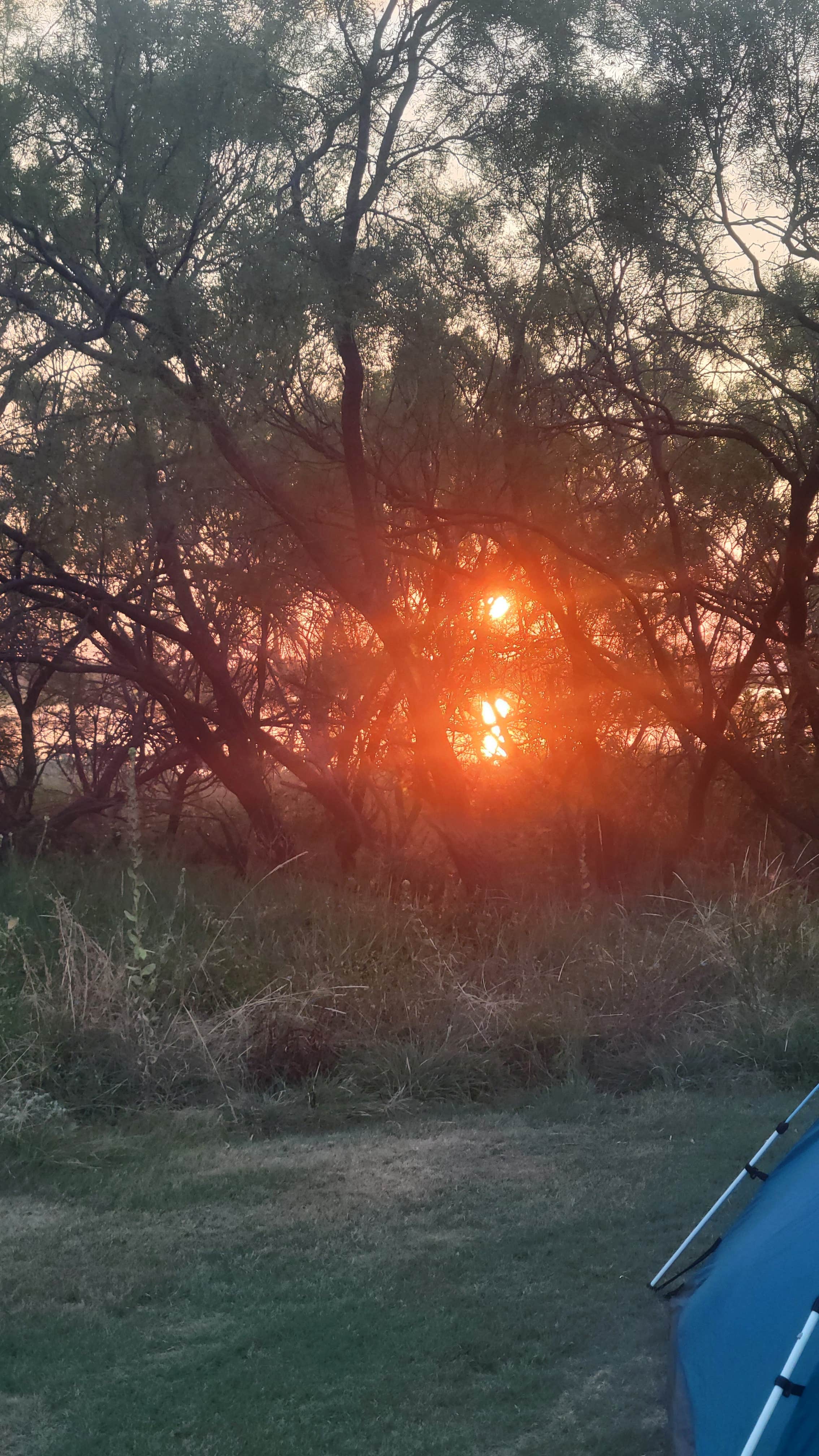 Camper submitted image from lake arrowhead state park - 4