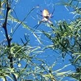 Review photo of lake arrowhead state park by B R., November 20, 2025