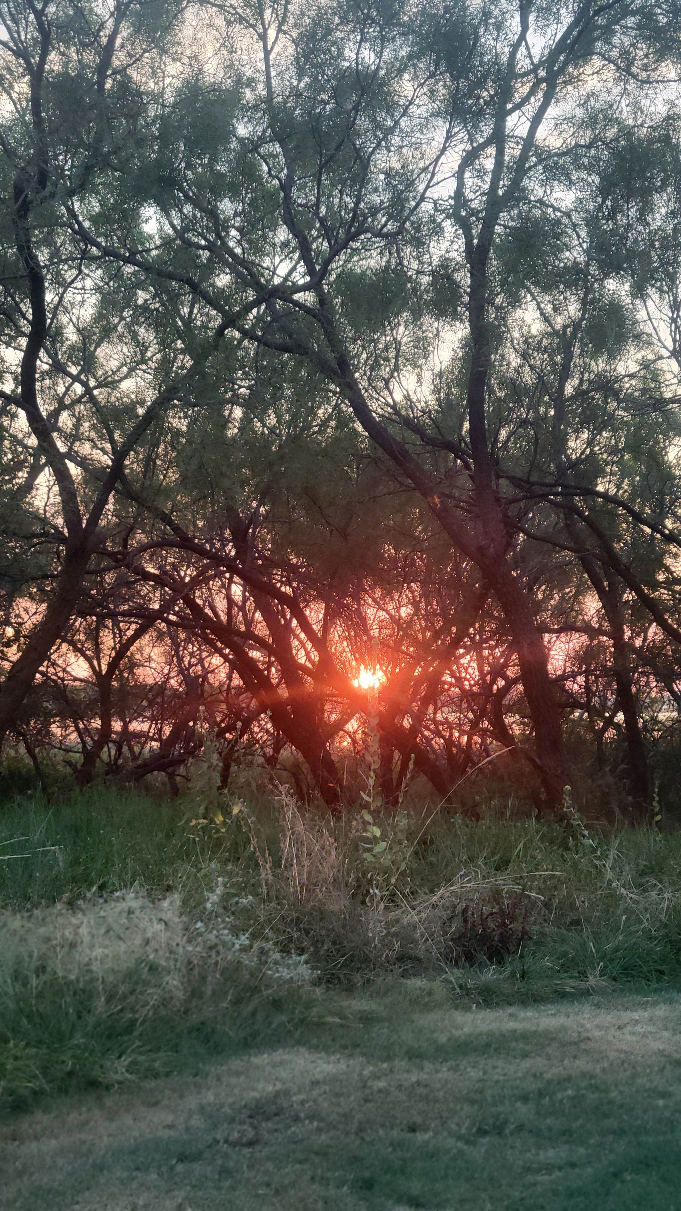 Camper submitted image from lake arrowhead state park - 1