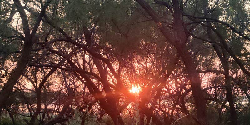 Camper submitted image from lake arrowhead state park