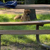 Review photo of Lake Auburn Campground by Stina M., July 13, 2026