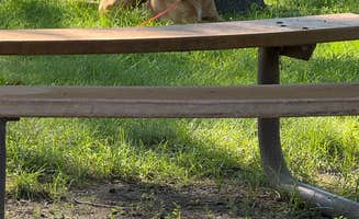 Stina M.'s photo of camping with pets at Lake Auburn Campground near Dassel, MN