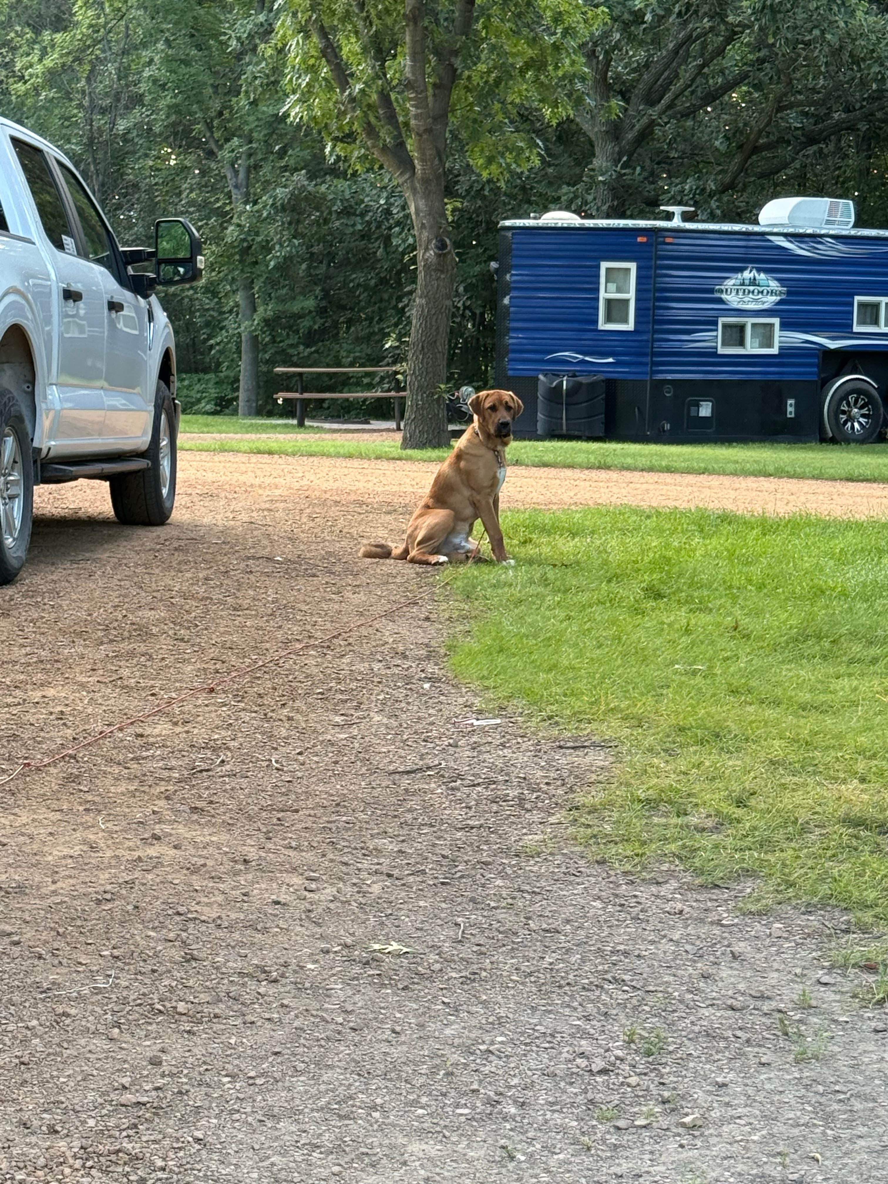 Stina M.'s photo of rv camping at Lake Auburn Campground near Belle Plaine, MN