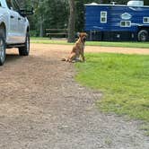 Review photo of Lake Auburn Campground by Stina M., July 13, 2026