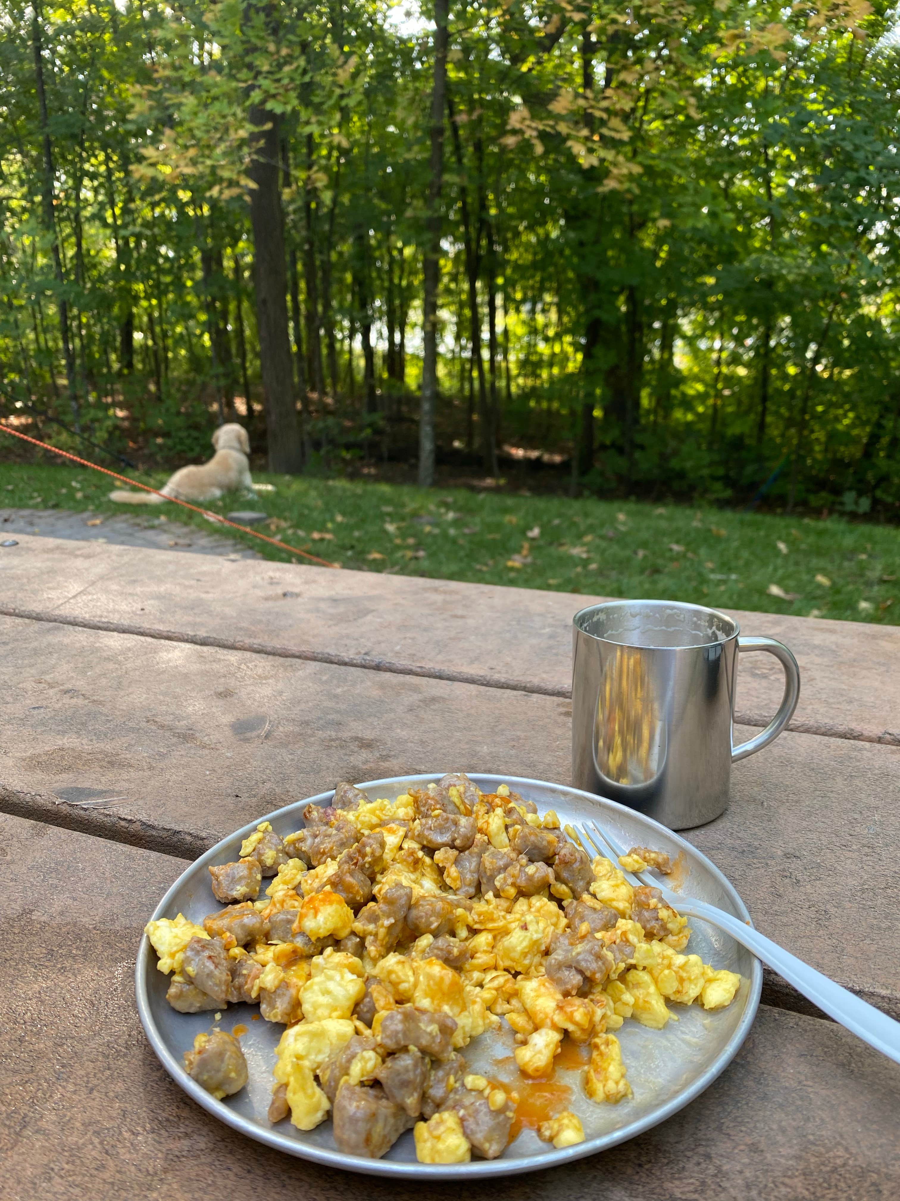 Erik R.'s photo of camping with pets at Lake Auburn Campground near Bloomington, MN