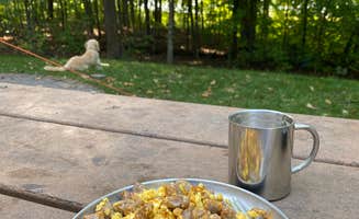 Erik R.'s photo of camping with pets at Lake Auburn Campground near Maple Lake, MN