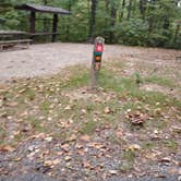 Review photo of Lake Boutin Campground — Trail of Tears State Park by Drew B., September 24, 2026
