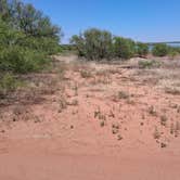 Review photo of Lake Buffalo Boat Ramp Camp by Shelley B., August 18, 2026