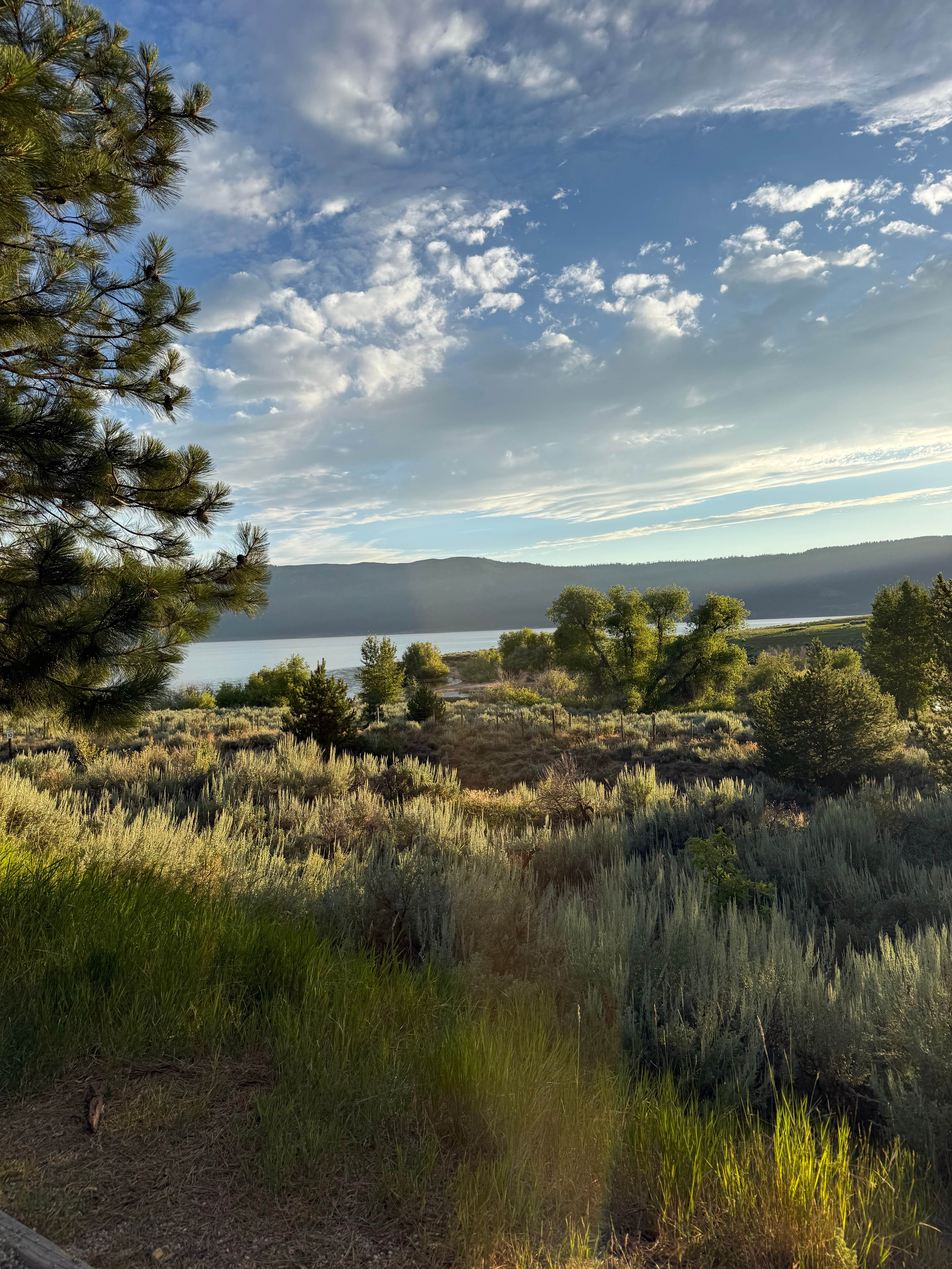 Camper-submitted photo at Sugarloaf Campground — Lake Cascade State Park near McCall, ID