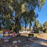 Review photo of Lake Casitas Recreation Area by Kristi D., October 29, 2023