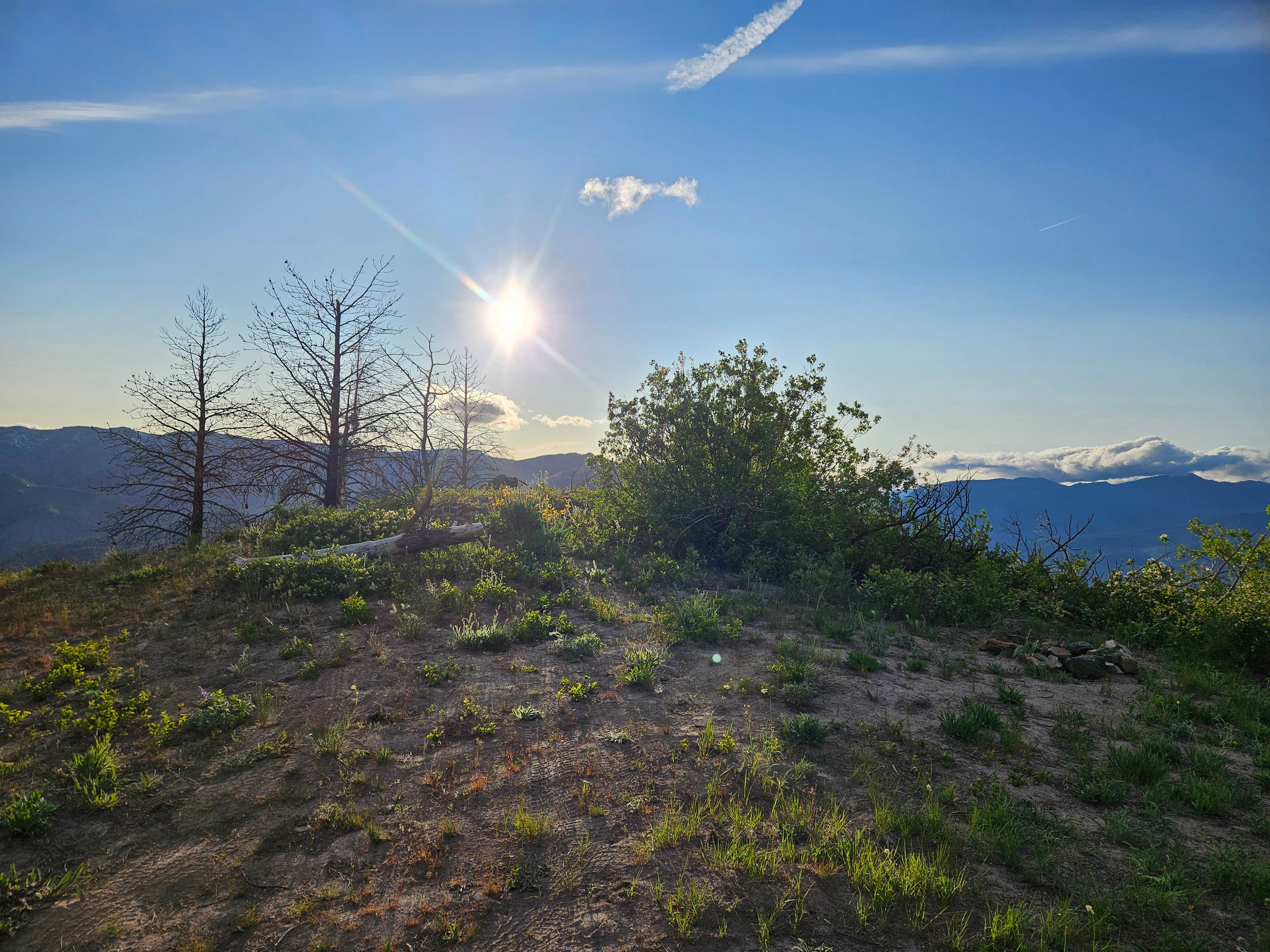 Ryan S.'s photo of a dispersed camping area at Lake Chelan Overlook near Lake Chelan National Recreation Area