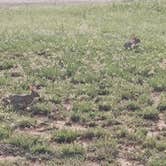 Review photo of Lake Colorado City State Park Campground by Andy M., May 22, 2026