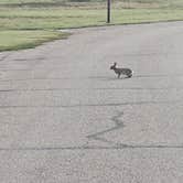 Review photo of Lake Colorado City State Park Campground by Andy M., May 22, 2026