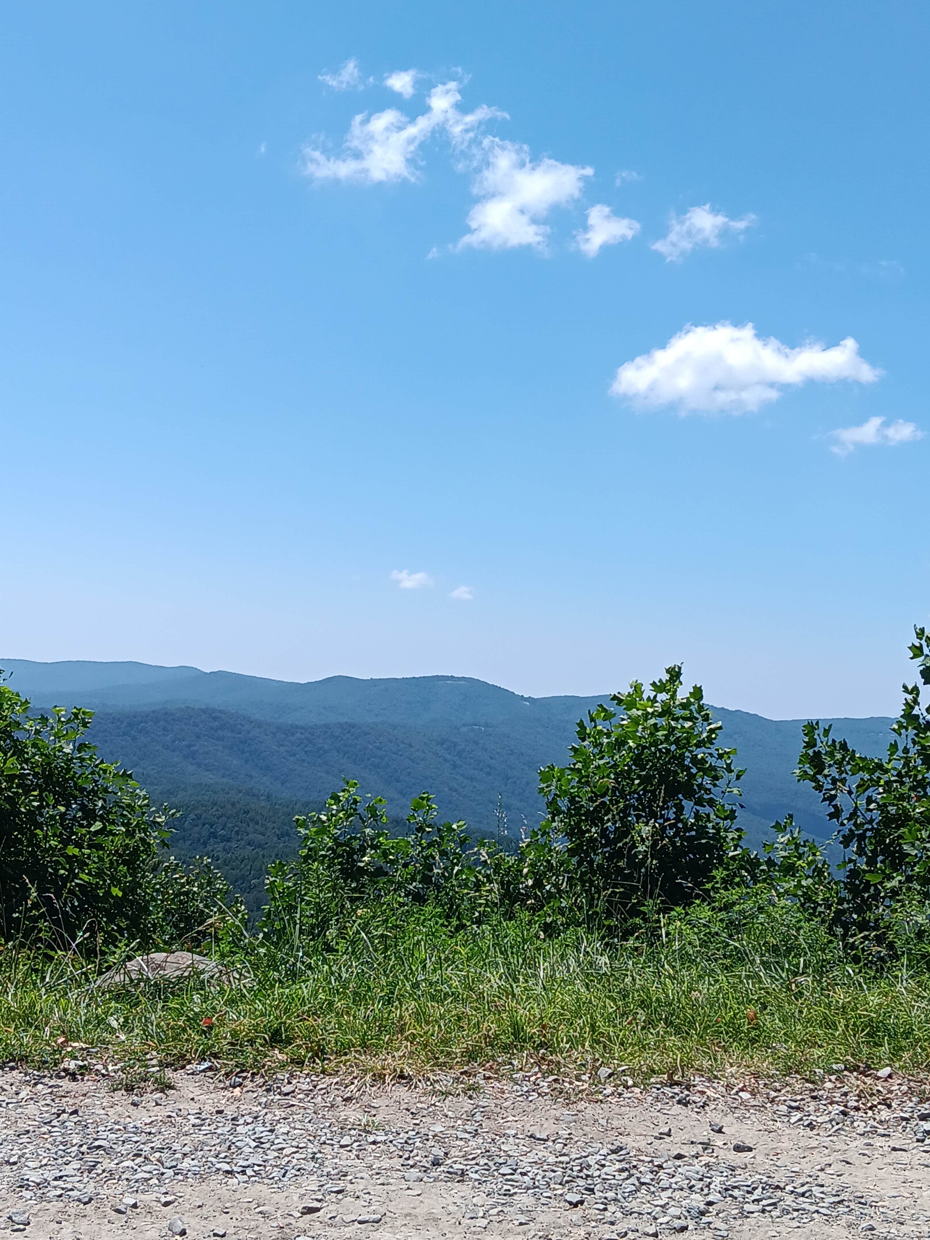 Camper submitted image from Lake Conasauga Overflow Campground — Chattahoochee Oconee National Forest - 4